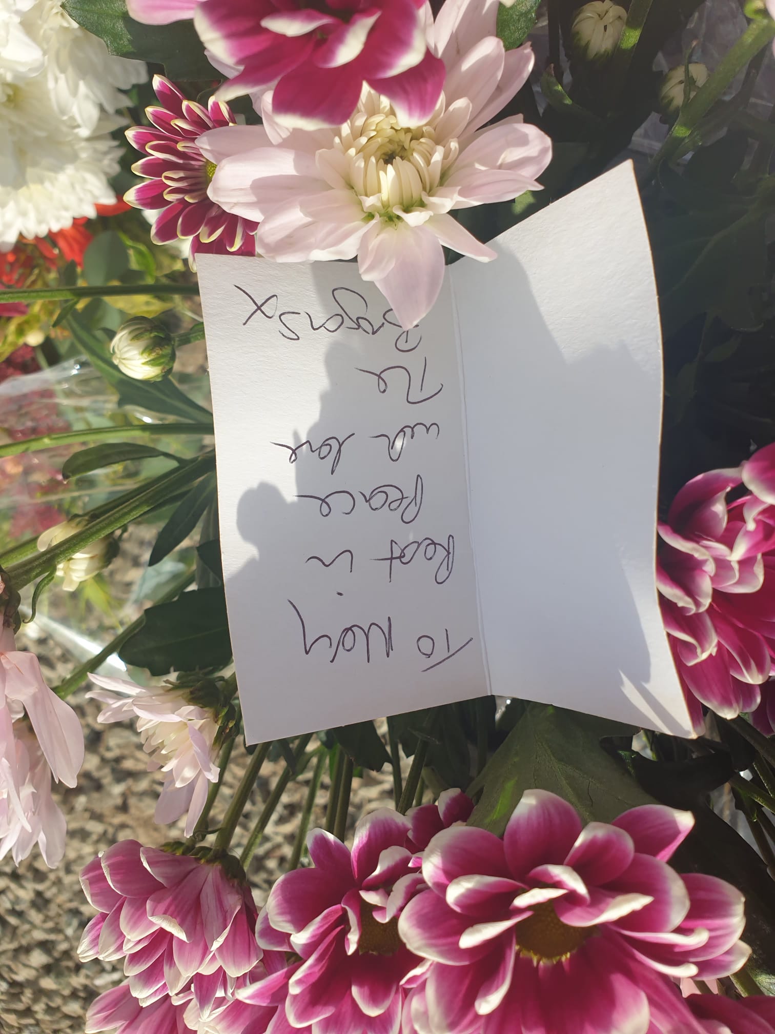 Mary Byrne-gallery-7